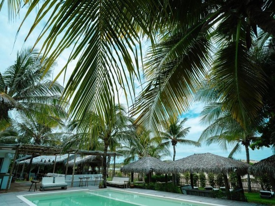 Gallery - Zebra Boutique Hotel