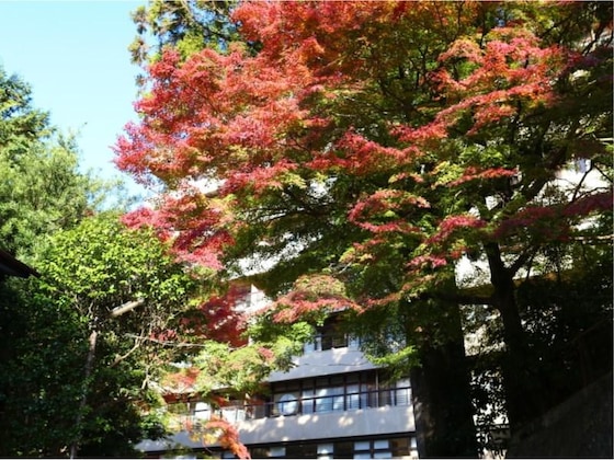 Gallery - Okuyugawara Onsen Sansuirou