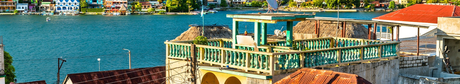 Flores