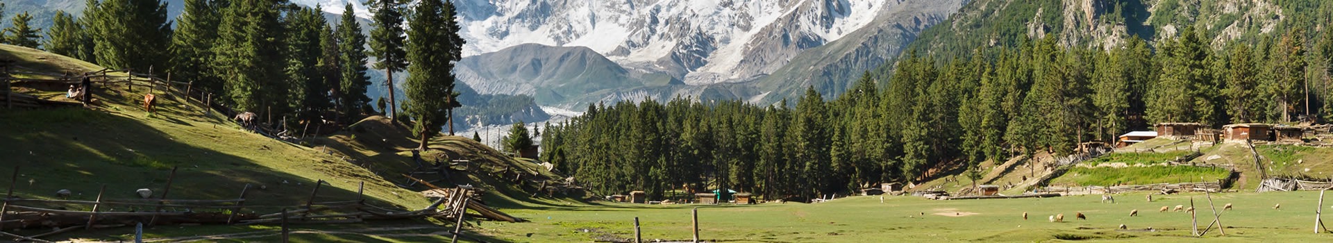 Pakistan