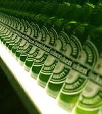 Heineken Brewery