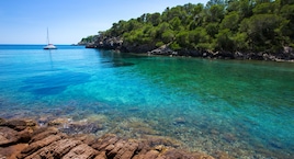 Ibiza Capital 