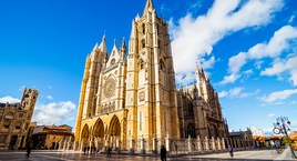 León