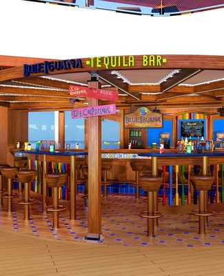 Kuva  Carnival Vista 43