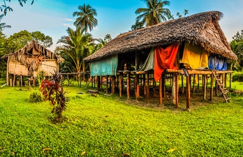 Papua - Uusi Guinea