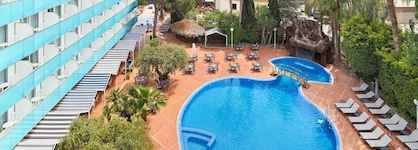 H10 Delfin -Adults Only