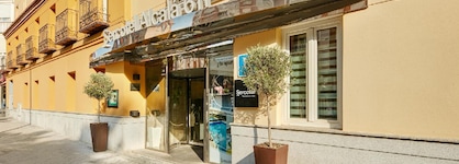 Hotel Sercotel Alcala 611