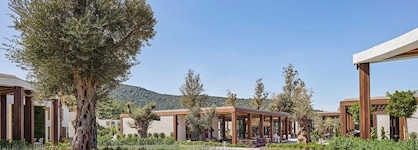 Voyage Torba