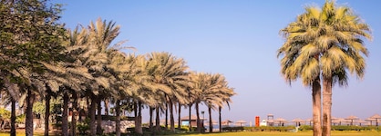 Coral Beach Resort
