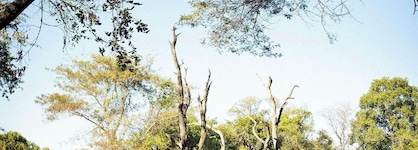 Avani Victoria Falls Resort