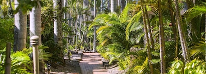 Oaks Sunshine Coast Oasis Resort