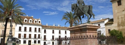 Hotel Coso Viejo