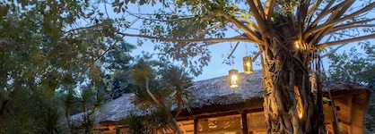 Six Senses Ninh Van Bay
