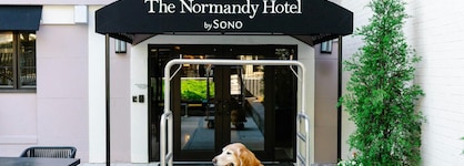 The Normandy Hotel