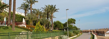 Paloma Perissia