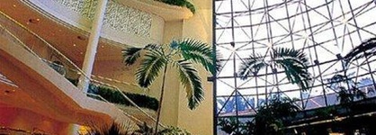 Sheraton Voyager Resort & Spa