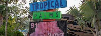 Tropical Palms Resort