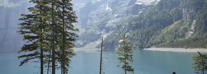 The Cambrian