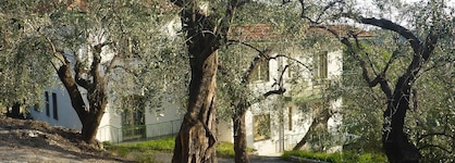 Borgo Verde-Uliveto