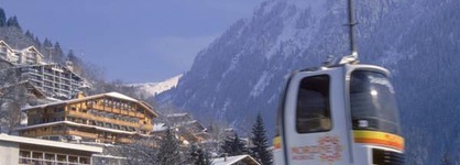 Le Dahu Hotel-Chalet De Tradition
