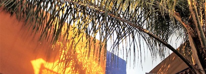 Riad Al Amine