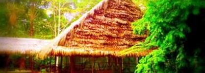 Amazon Eco Tours & Lodge