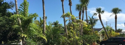 Palm Tree Villas