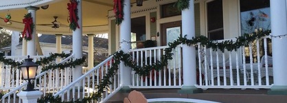 Ginkgo Tree Inn