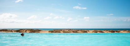 Hotel LIVVO Budha Beach