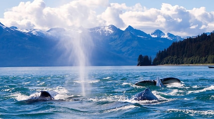 Alaska