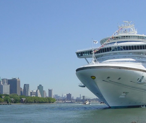Kuva  Crown Princess 24