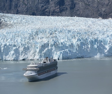 Kuva  Crown Princess 15