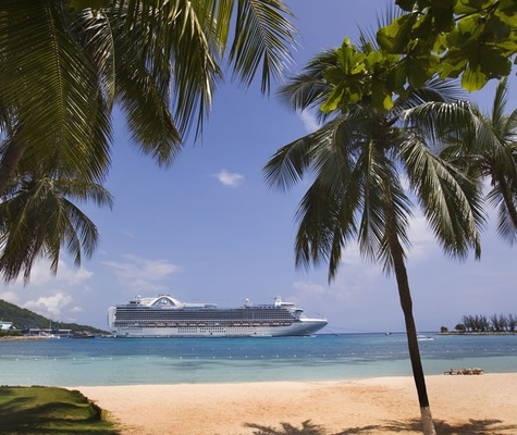 Kuva  Crown Princess 16