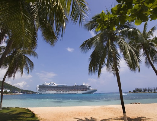 Kuva  Crown Princess 16