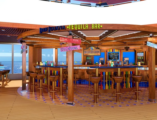 Kuva  Carnival Vista 43