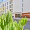 Hotel Ilusion Moreyo - Adults only - map