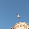 Albert 1'Er Hotel Nice, France - map