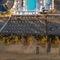 Domes Aulus Zante, Autograph Collection - map