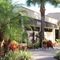 Rosen Inn At Pointe Orlando - map