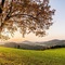 Sauerland Alpin Hotel - map
