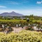 Knockranny House Hotel & Spa - map