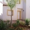 Villas Monte Javea - map