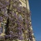 The Castle At Taunton - map