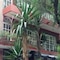 Residencia Polanco - map