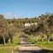 Vila Valverde Design & Country - map