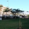 Apartamentos Los Cactus - map