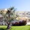 Grand Hotel Olimpo - map