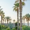 Ikaros Beach Luxury Resort & Spa - map