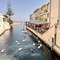 Hotel Kalyves Beach - map