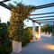 Hotel Al Mulino - Mediterranean Garden Retreat In Anacapri - map